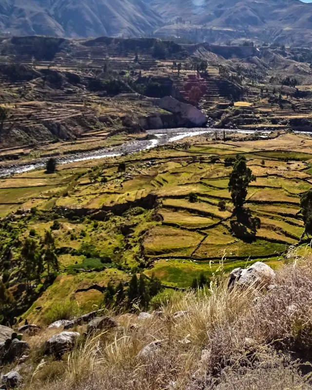 Cânion do Colca, Arequipa