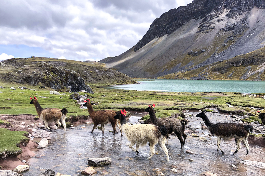 7 Lagunas de Ausangate